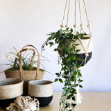 Nadu Hand-Braided Jute Plant Hanger